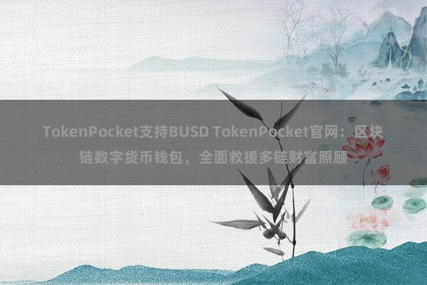 TokenPocket支持BUSD TokenPocket官网：区块链数字货币钱包，全面救援多链财富照顾